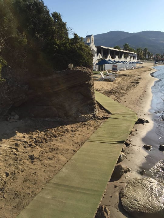 Weg zum Steg  Paloma Pasha