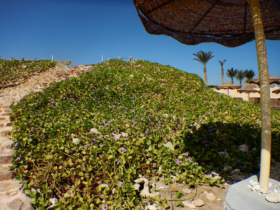 Gartenanlage Rohanou Beach Resort