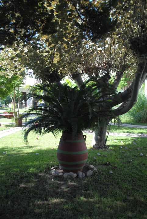 Ogród Gaia Garden Hotel