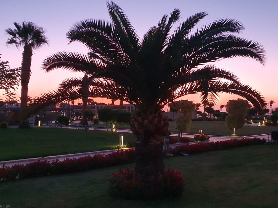 Garten Pickalbatros Royal Moderna Resort-Sharm El Sheikh