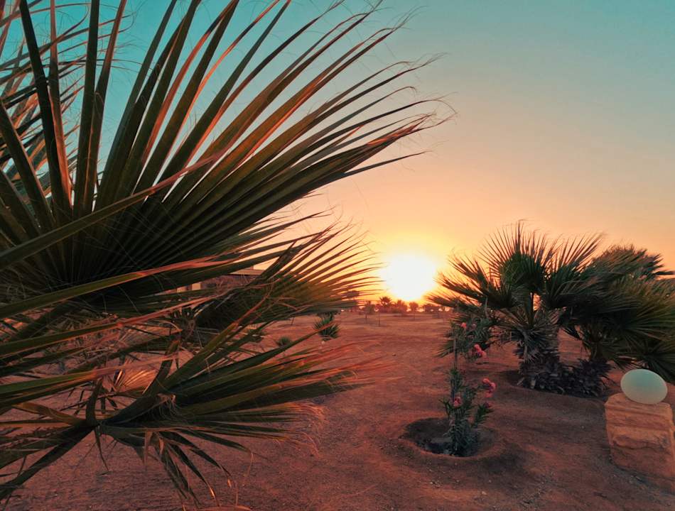 Gartenanlage Hotel Sheraton Soma Bay Resort