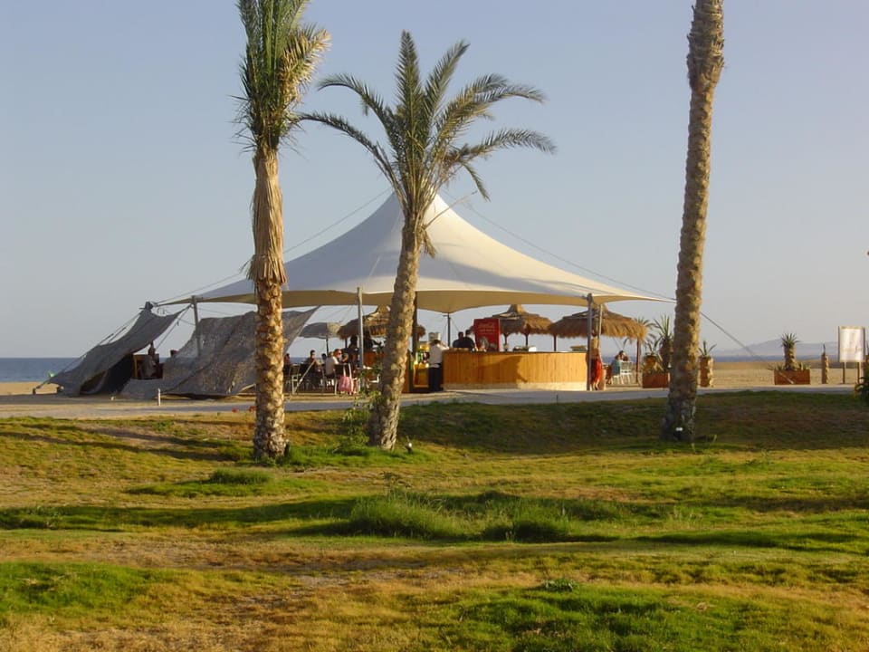 Ausblick vom Zimmer 1094 Hotel Gorgonia Beach Resort
