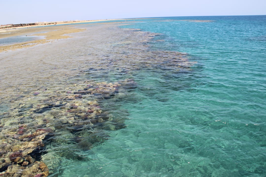 Strand Shams Alam Beach Resort