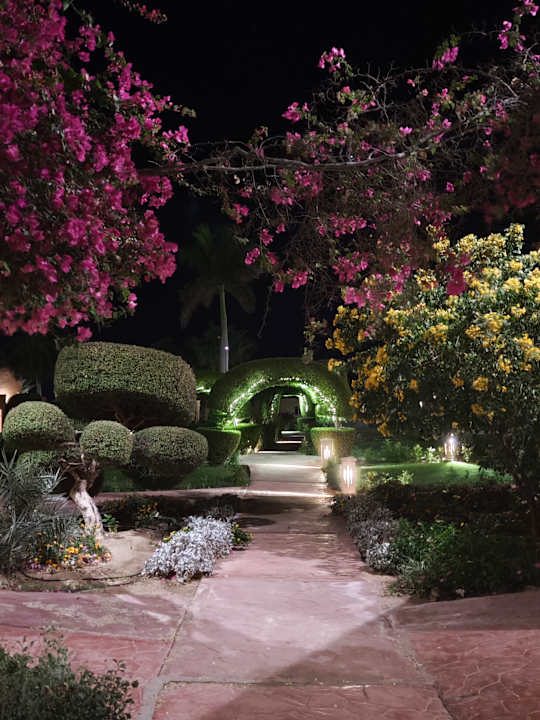Gartenanlage Wadi Lahmy Azur Resort