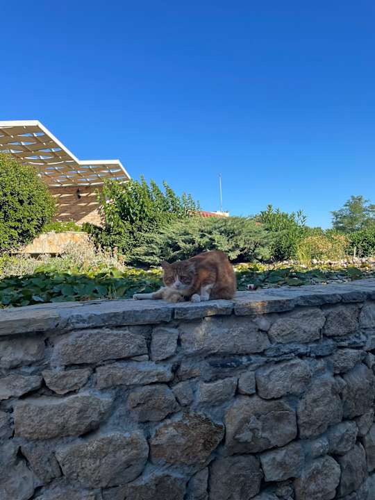 Sonstiges Club Resort Atlantis