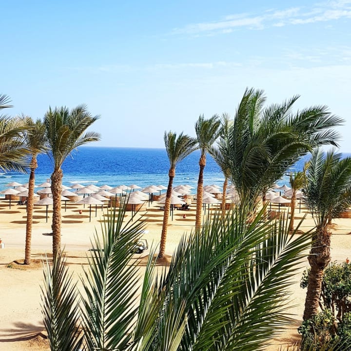 Ausblick Pickalbatros Sands Hotel - Port Ghalib