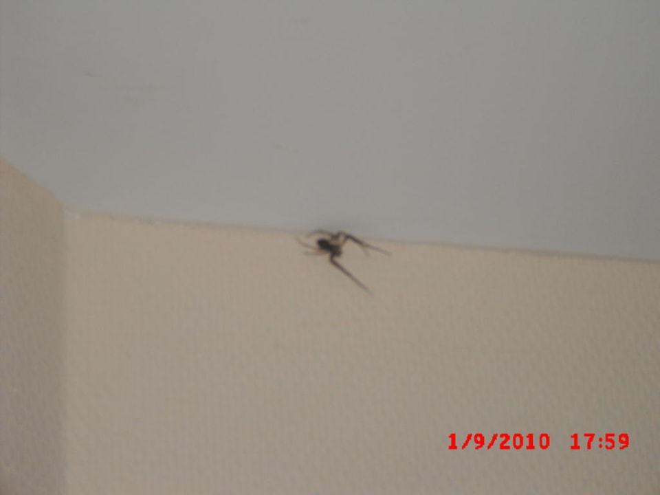 Schlafbereich Danubius Hotel Marina