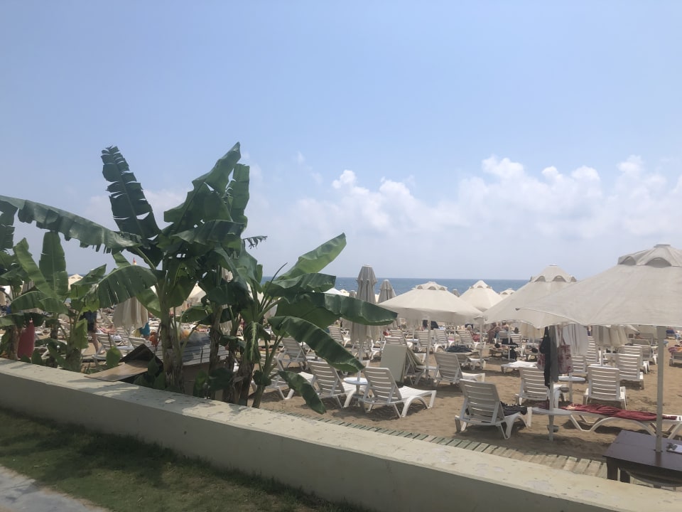 Strand Seaden Corolla Hotel