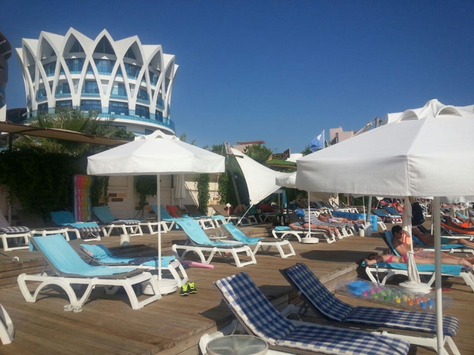 Steg Granada Luxury Okurcalar