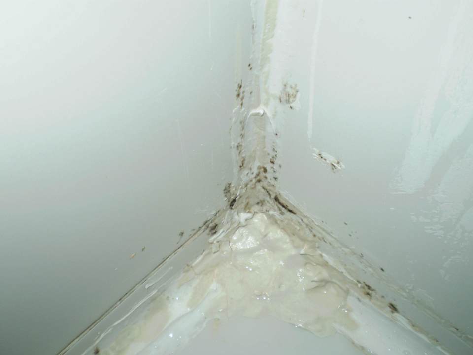 Schimmel im Bad Hotel Greenpark