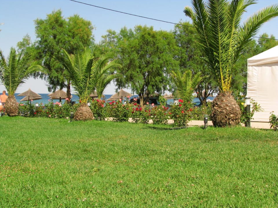 Blumen alltoura Club Hotel Poseidon Palace