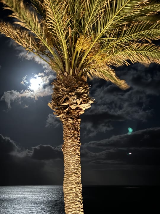 Gastro Hotel Royal Orchid