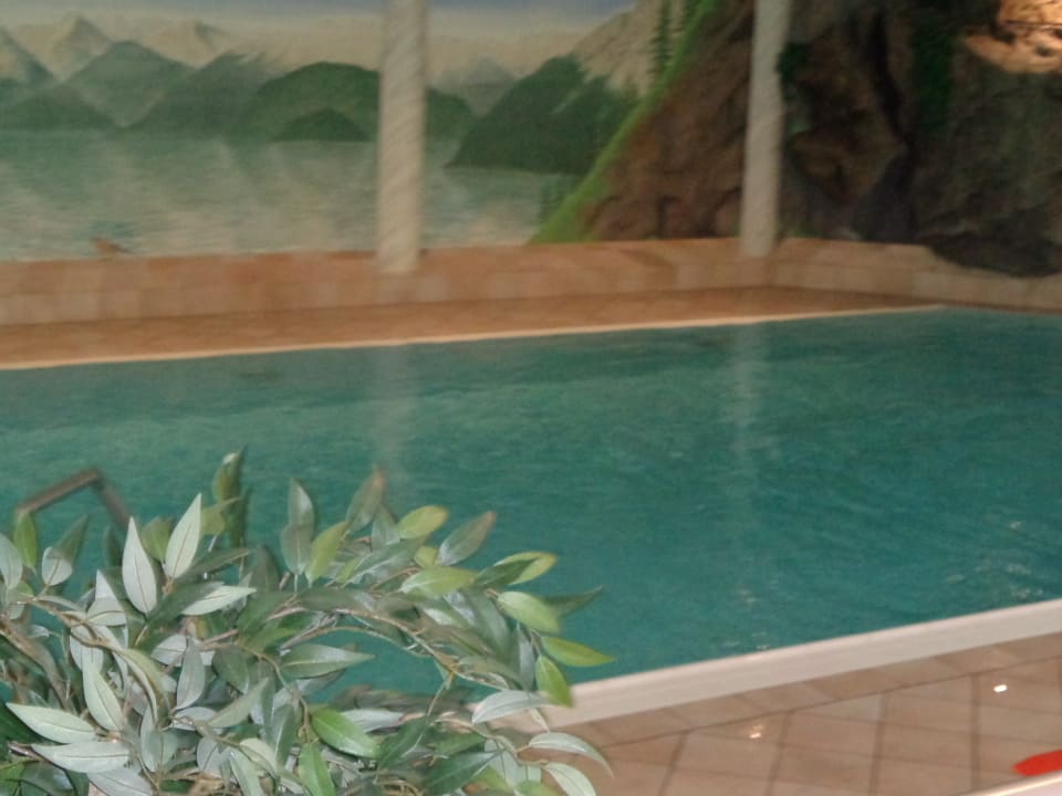 Pool Hotel Neuhäusl