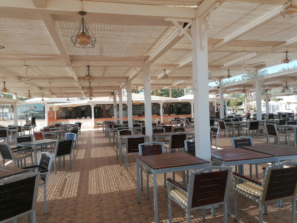 Gastro Pharaoh Azur Resort