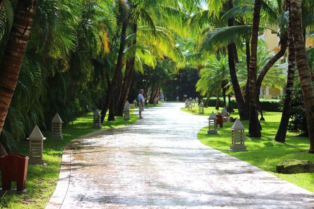 Weg am Beach und Del Mar Hotel Iberostar Selection Paraiso Maya Suites