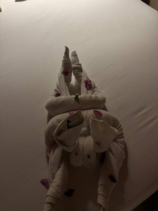 Zimmer Jaz Makadi Oasis Resort