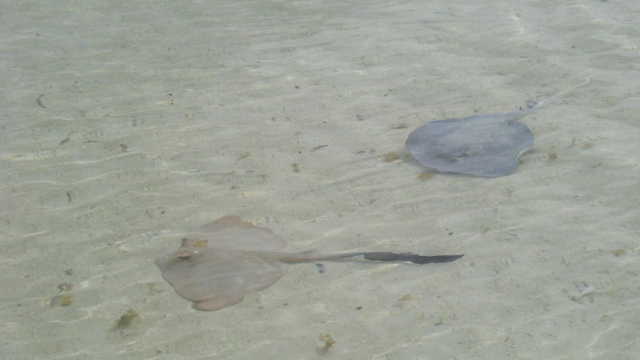 Klares Wasser Villa Park Sun Island