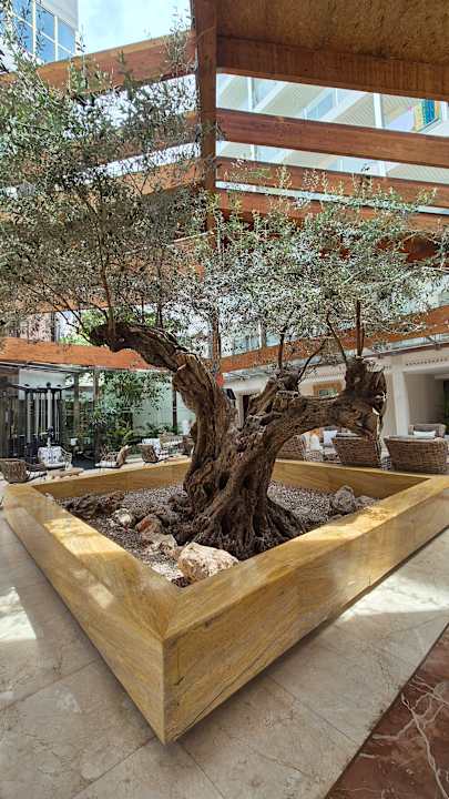 Lobby allsun Hotel Cormoran