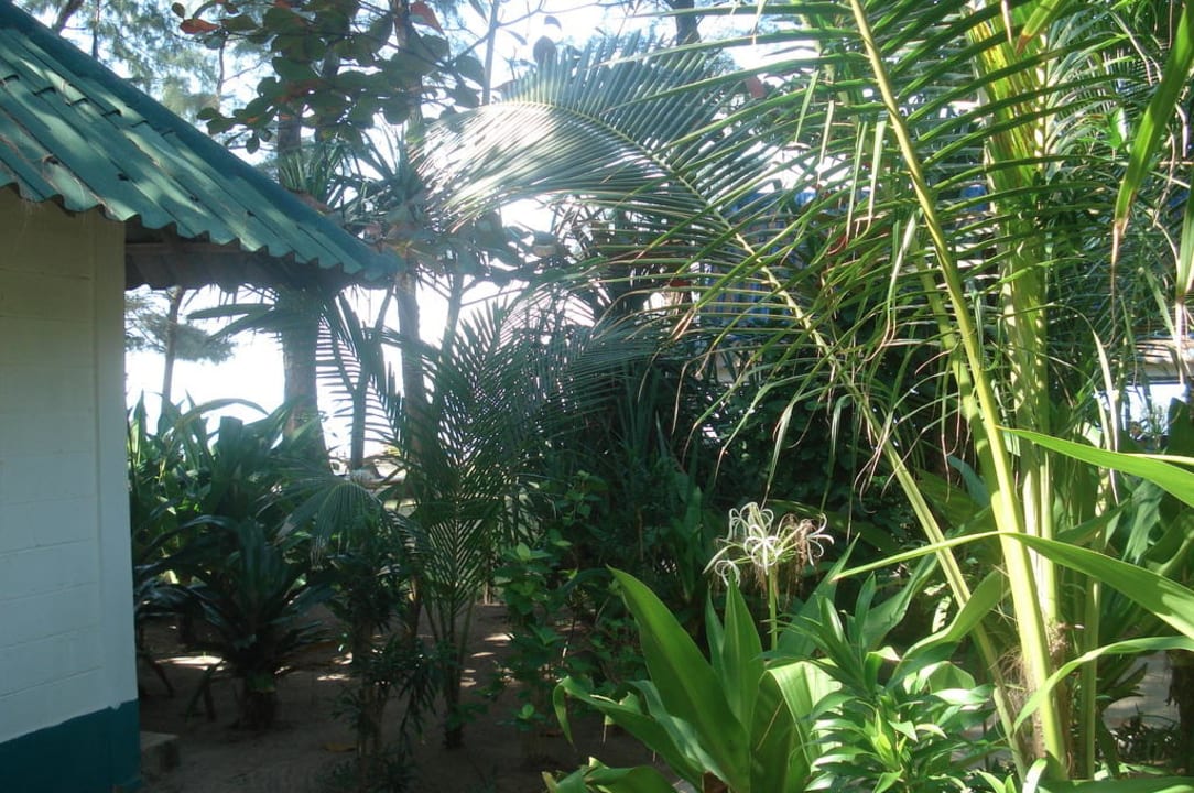 Nochmal ein Blick von der Terrasse Hotel Lanta Island Resort