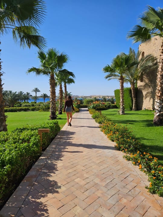 Gartenanlage Fort Arabesque Resort, Spa & Villas