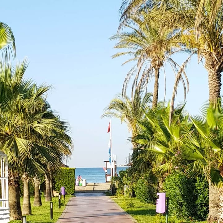 Gartenanlage TUI KIDS CLUB Felicia Village