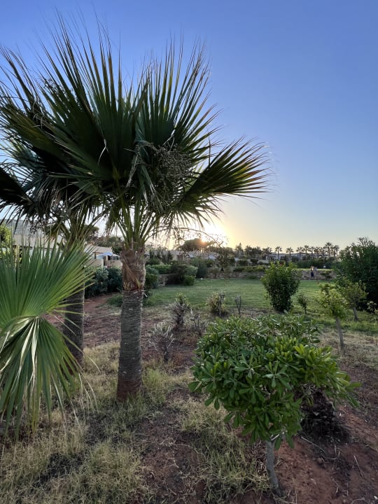 Gartenanlage Kernos Beach Hotel & Bungalows