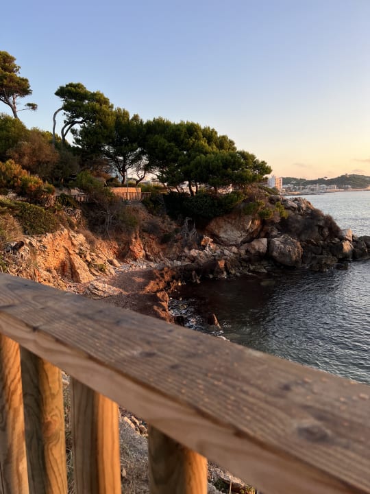 Ausblick Son Moll Sentits Hotel & Spa