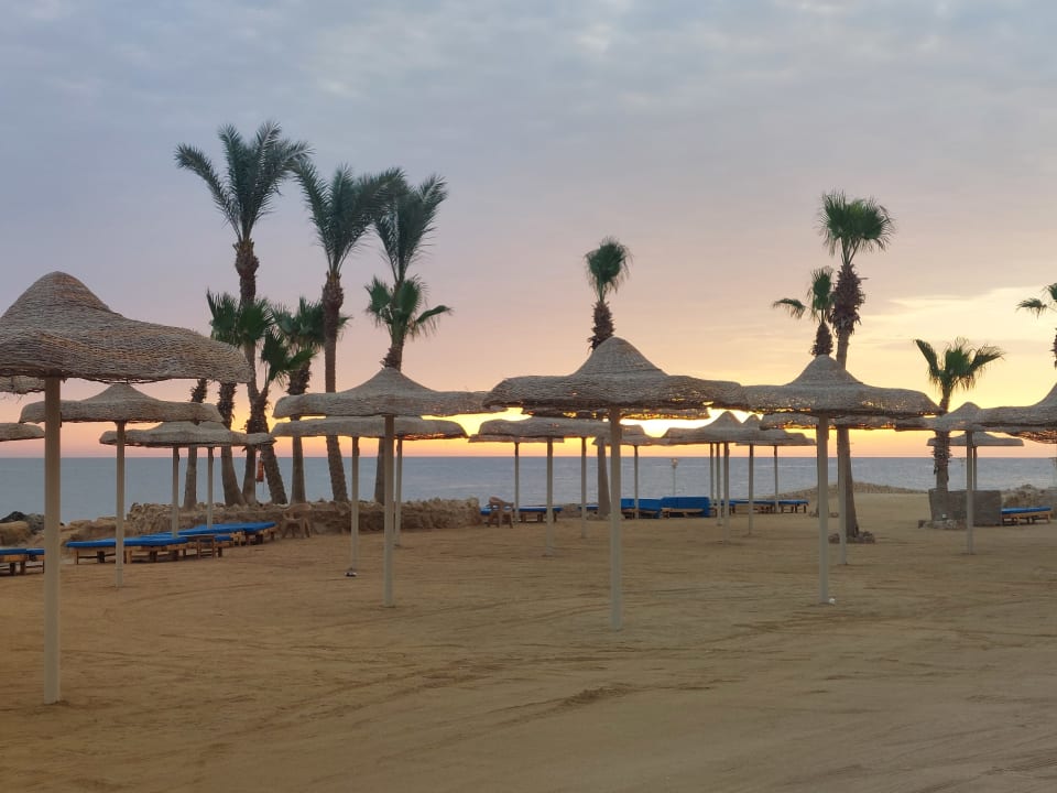 Strand Pickalbatros Citadel Resort