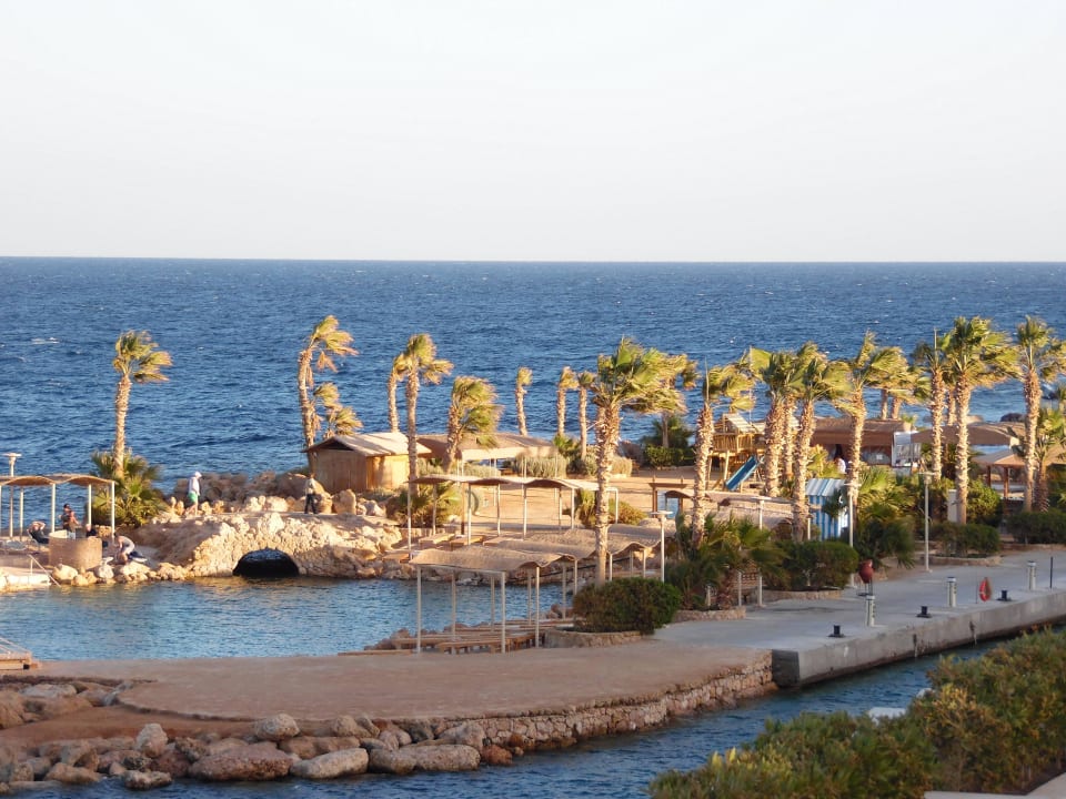 Blick von unserem Zimmer Pickalbatros Citadel Resort