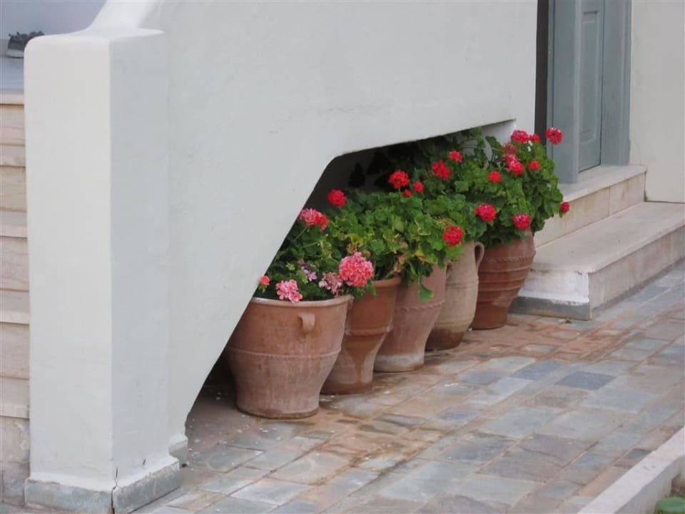 Gepflegte Anlage Hotel Angela Studios & Apartments