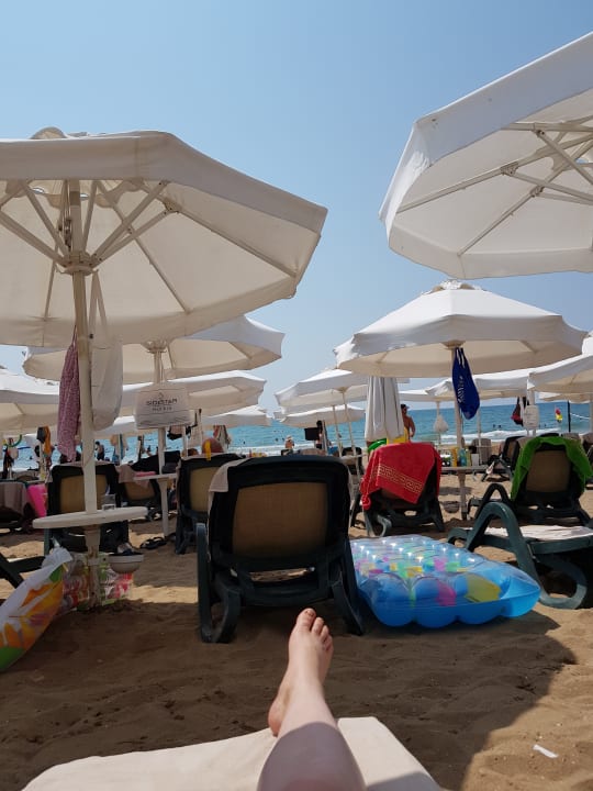 Strand Side Star Elegance