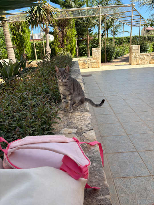 Gartenanlage Yiannis Manos Hotel Resort