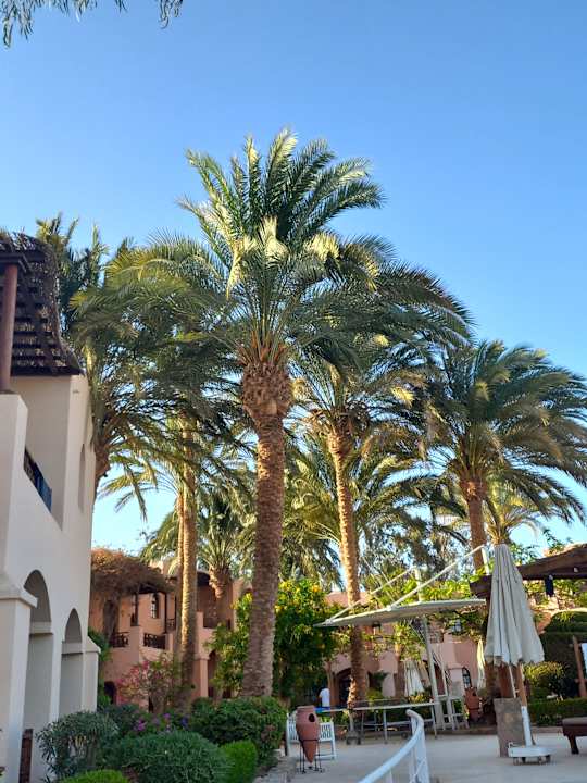 Gartenanlage Sultan Bey Hotel, El Gouna