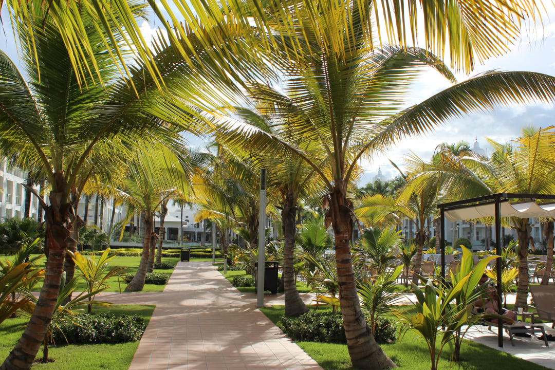 Gartenanlage Hotel Riu Palace Punta Cana