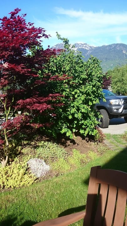 Schöne Aussicht beim Frühstück  Meadowbrook Bed & Breakfast