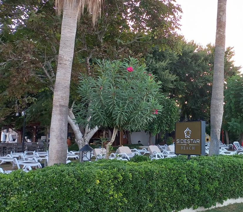 Gartenanlage Side Star Beach