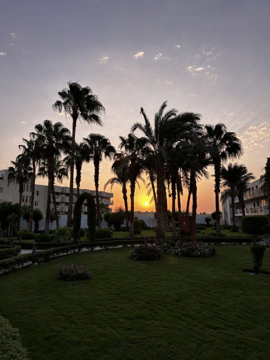 Gartenanlage Amarina Abu Soma Resort & Aquapark