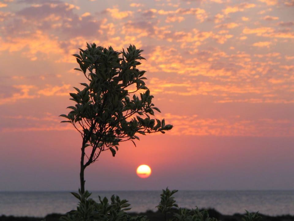 Sonnenaufgang Lahami Bay Lahami Bay Beach Resort
