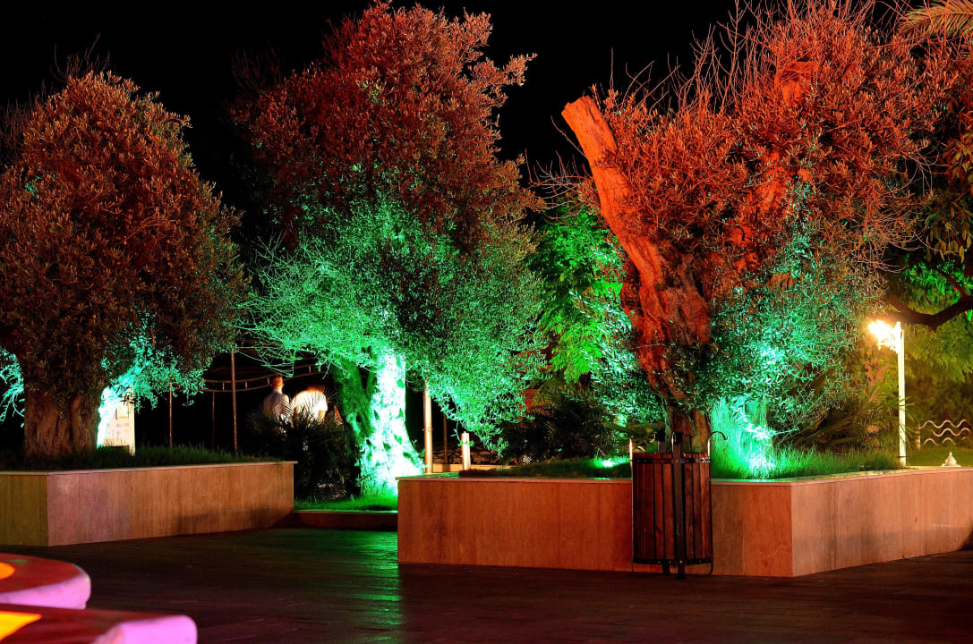 Widok nocny Dobedan Exclusive Hotel And Spa