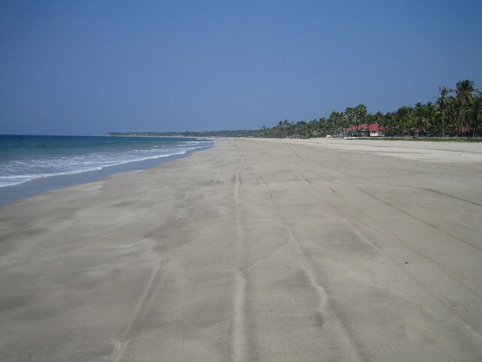 Blick am Strand Hotel Palm Beach Resort