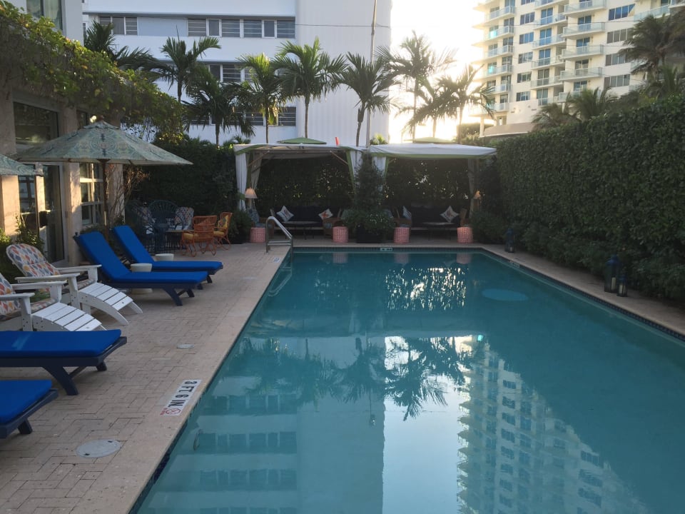 Pool mit Liegen Circa 39 Hotel Miami