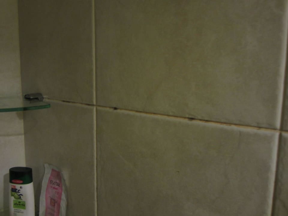 Schimmel The Briza Beach Resort Khaolak