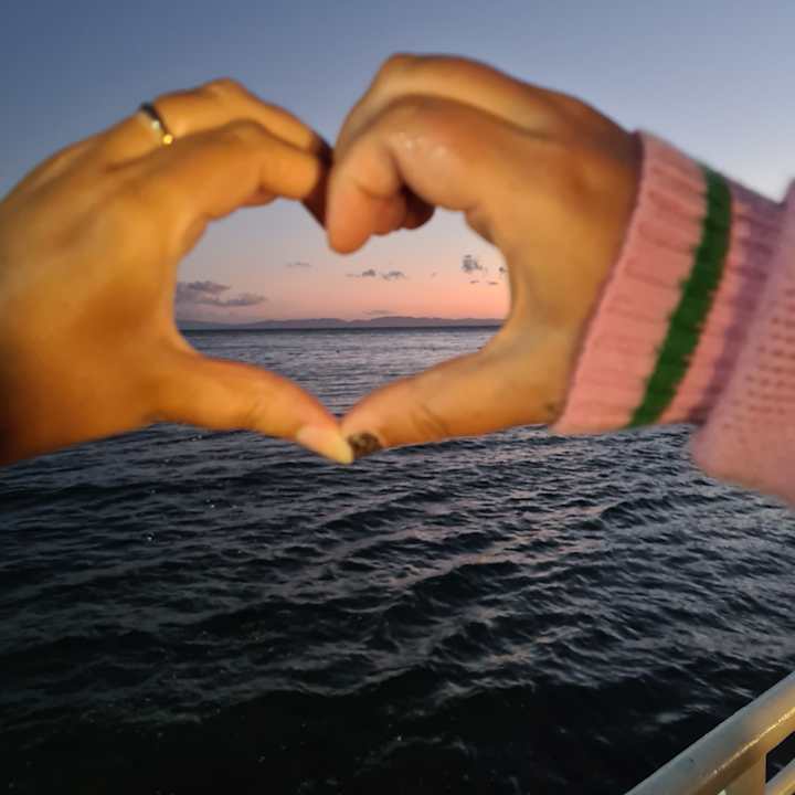 Sonstiges Paloma Pasha