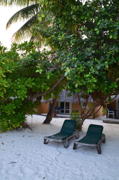 Zimmer Kuredu Island Resort & Spa
