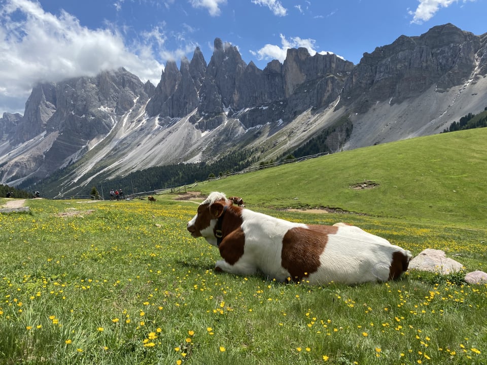 Sonstiges Alpin & Vital Hotel La Perla