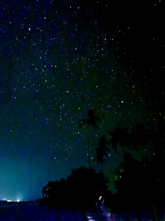 Ausblick Hotel Riu Atoll