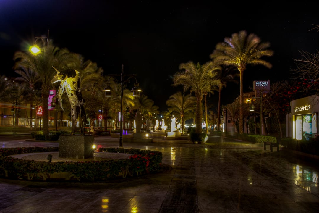 Gartenanlage Steigenberger Aqua Magic