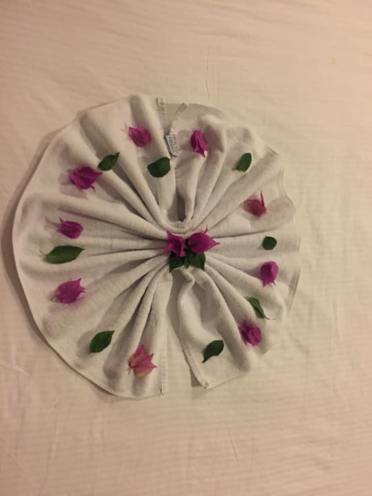 Zimmer Seaden Sea World Resort & Spa