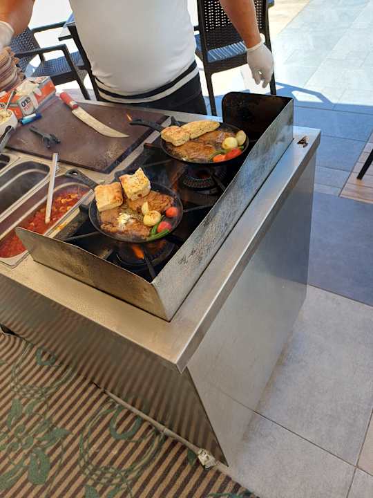 Gastro Seashell Vega