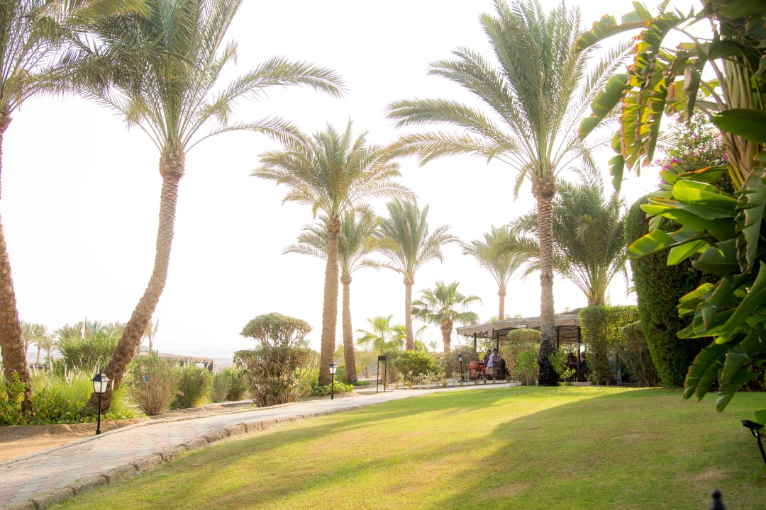 Gartenanlage Steigenberger Coraya Beach - Adults only